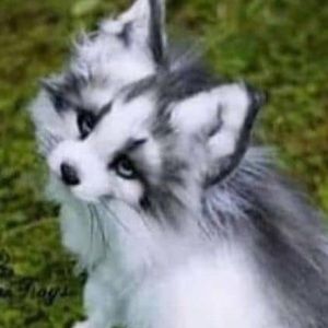 Meet your Posher, Ben